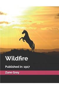 Wildfire: (illustrated)