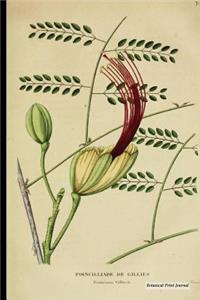 Botanical Print Journal