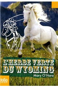 Herbe Verte Du Wyoming