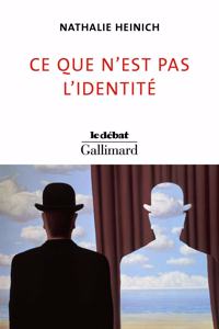 Ce que n'est pas l'identite