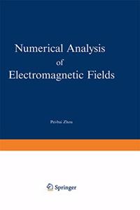 Numerical Analysis of Electromagnetic Fields