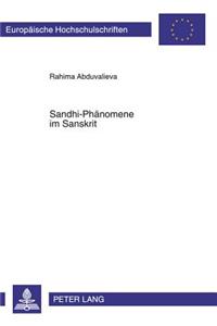 Sandhi-Phaenomene Im Sanskrit