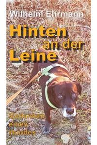 Hinten an der Leine