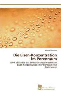 Eisen-Konzentration im Porenraum