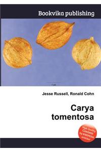 Carya Tomentosa