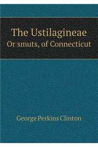The Ustilagineae or Smuts, of Connecticut