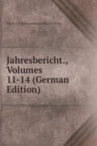 Jahresbericht., Volumes 11-14 (German Edition)