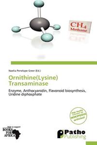 Ornithine(lysine) Transaminase