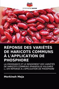 Réponse Des Variétés de Haricots Communs À l'Application de Phosphore