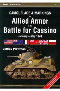 Camouflage & Markings of Allied Armor in the Battle for Cassino