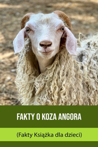 Fakty o Koza Angora (Fakty Książka dla dzieci)
