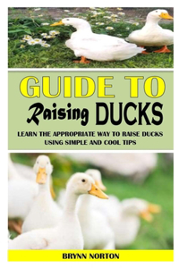 Guide to Raising Ducks