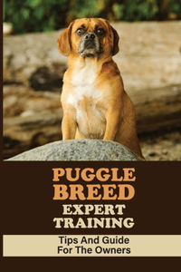 Puggle Breed Expert Training
