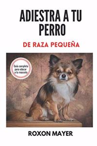 Adiestra a Tu Perro de Raza Pequeña