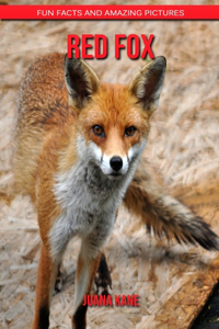 Red Fox