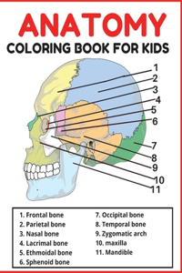 Anatomy coloring book for kids