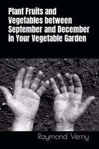 Plant Fruits and Vegetables between September and December in Your Vegetable Garden