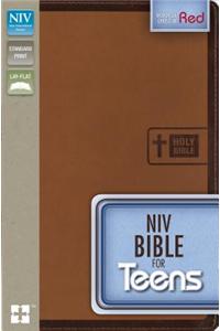 Bible for Teens-NIV