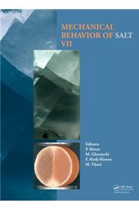 Mechanical Behaviour of Salt VII