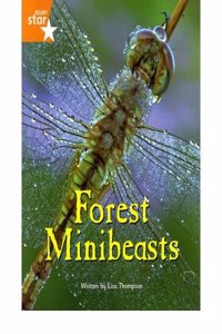 Fantastic Forest