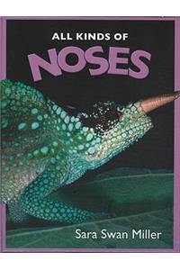 All Kinds of Noses
