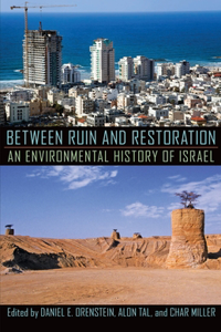 Between Ruin and Restoration