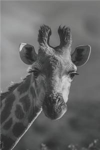 Giraffe Lovers Portable Journal