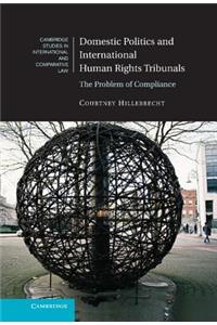 Domestic Politics and International Human Rights Tribunals