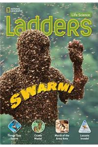 Ladders Science 5: Swarm! (Below-Level)
