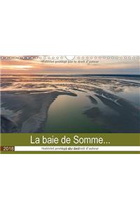 La baie de Somme... vue du ciel 2018