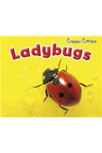 Ladybugs (Creepy Critters)