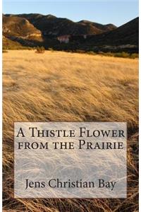 A Thistle Flower from the Prairie