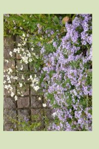 Country Garden Wall 2014 Weekly Calendar