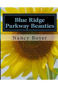 Blue Ridge Parkway Beauties