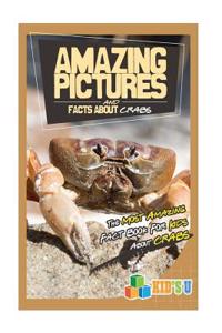 Amazing Pictures and Facts about Crabs: The Most Amazing Fact Book for Kids about Crabs