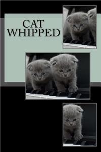 Cat Whipped