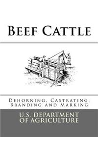 Beef Cattle