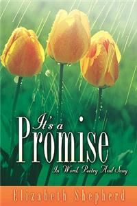 It's A Promise