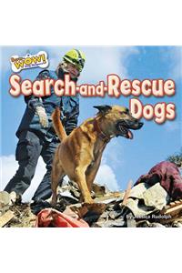 Search-And-Rescue Dogs