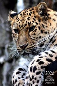 2020 Weekly Monthly Planner Calendar