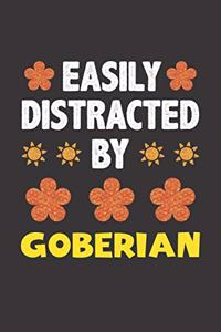 Easily Distracted By Goberian