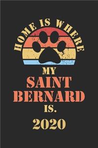 Saint Bernard 2020