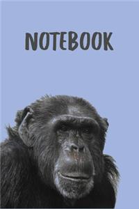 Monkey Notebook