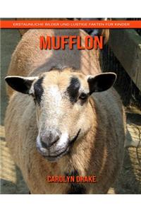 Mufflon