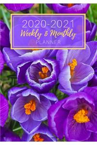 Weekly and Montly Planner