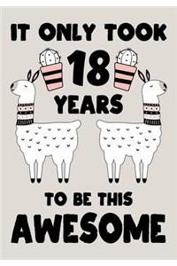It only Took 18 Years To Be This Awesome