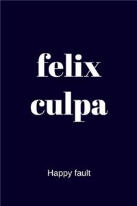 felix culpa - Happy fault