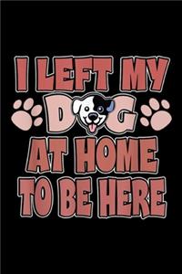 I left my dg at home to be here