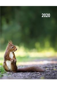 Low Vision 2020 Daily Planner