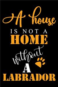 A House Is Not A Home Without A Labrador
